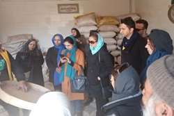 استقبال شهروندان اصفهانی از گردشگری خوراک در خمینی شهر